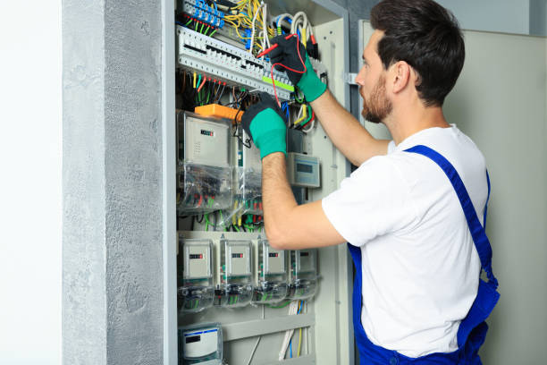 Best Electric Panel Repair  in Lake Lifornia, CA